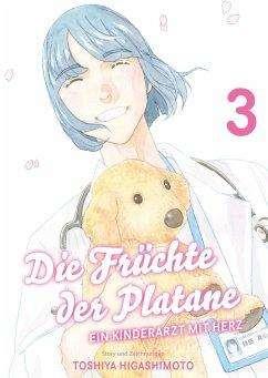 Die Früchte der Platane 03