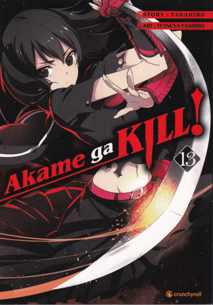 Akame ga KILL! 13