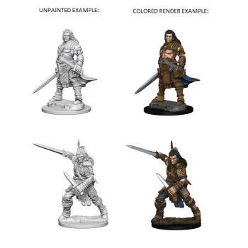 Pathfinder Deep Cuts Unpainted Miniatures: W1 Human Male Fighter