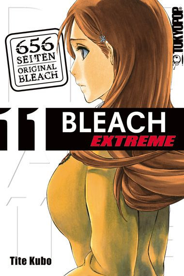Bleach Extreme11