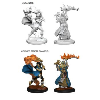 Pathfinder Deep Cuts Unpainted Miniatures: W1 Human Female Cleric Pathfinder Deep Cuts Unpainted Miniatures: W1 Human Female Cleric