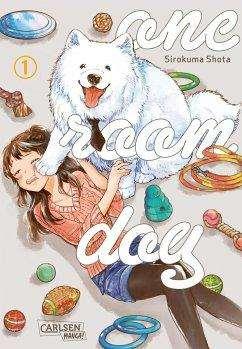 One Room Dog 01