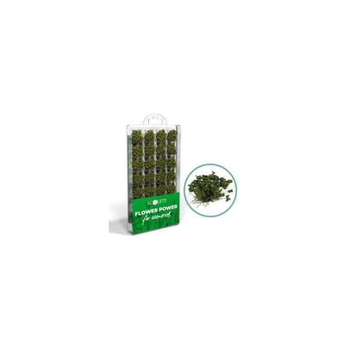 Scale75 GREEN FLOWERS Scale75 GREEN FLOWERS