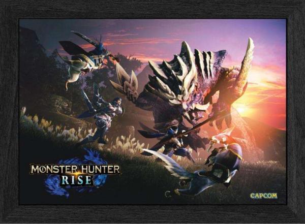 Pixel Frames: Plax Monster Hunter