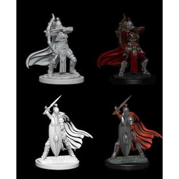 Pathfinder Deep Cuts Unpainted Miniatures: W6 Female Knights / Gray Maidens