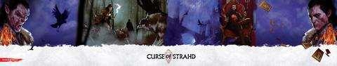Dungeon Master s Screen - Fluch des Strahd Dungeon Master s Screen - Fluch des Strahd