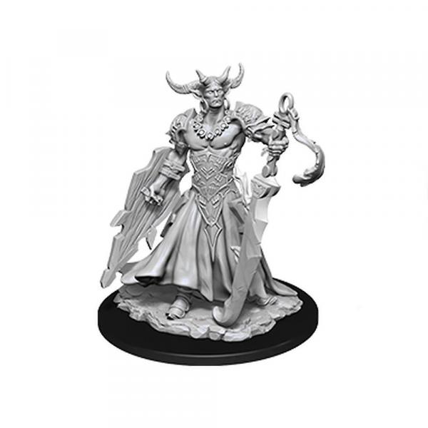 Pathfinder Deep Cuts Miniatures W12.5 Genie Efreeti