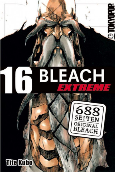 Bleach Extreme 16