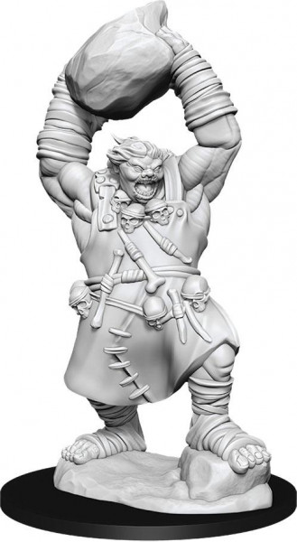 Pathfinder Deep Cuts Miniatures W11 Ogre