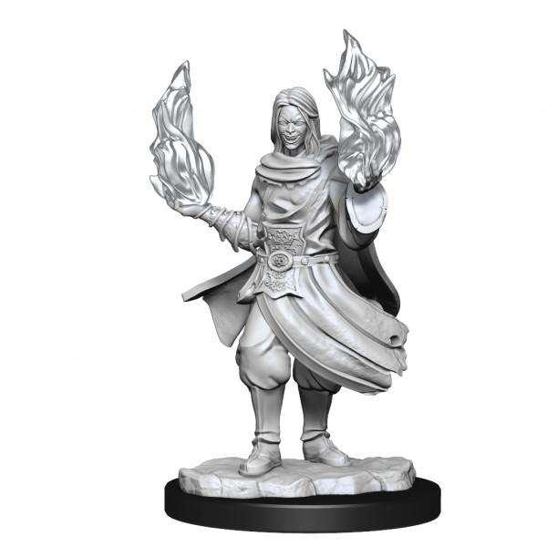Critical Role Miniatures: W1 Hollow One Rogue and Sorceror Male (MOQ2)