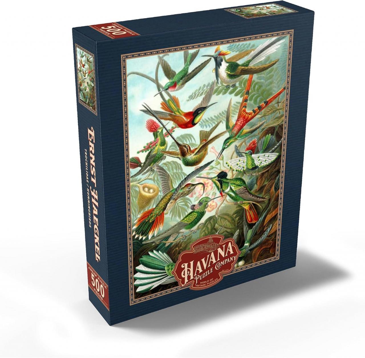 Ernst Haeckel: Hummingbirds / Kolibry (1000)