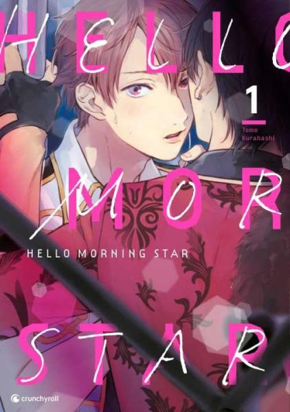 Hello Morning Star 01