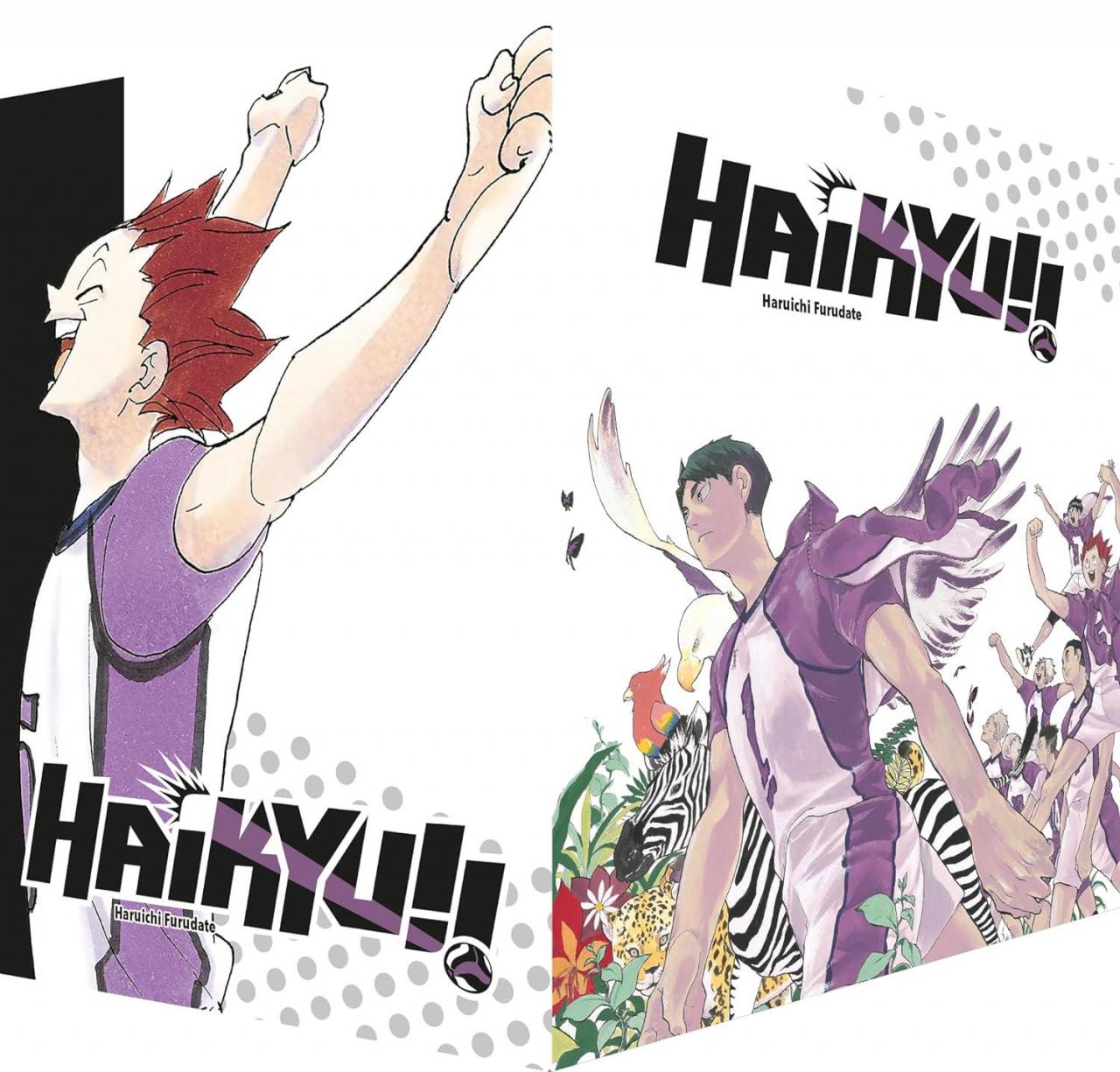 Haikyu!! Sammelbox 4 - Band 31-40 im Schuber Haikyu!! Sammelbox 4 - Band 31-40 im Schuber