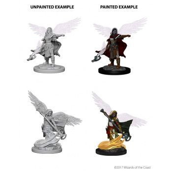 Dungeons & Dragons Nolzur`s Marvelous Unpainted Miniatures: W4 Aasimar Female Wizard
