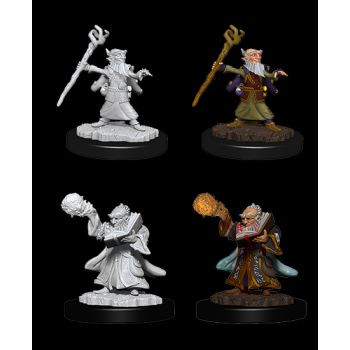 Dungeons & Dragons Nolzur`s Marvelous Unpainted Miniatures: W6 Male Gnome Wizard