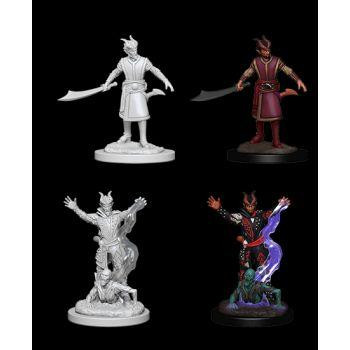 Dungeons & Dragons Nolzur`s Marvelous Unpainted Miniatures: W6 Male Tiefling Warlock