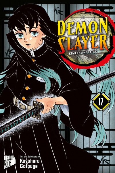 Demon Slayer 12