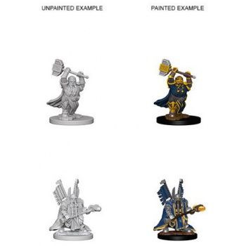 Dungeons & Dragons Nolzur`s Marvelous Unpainted Miniatures: W4 Dwarf Male Paladin