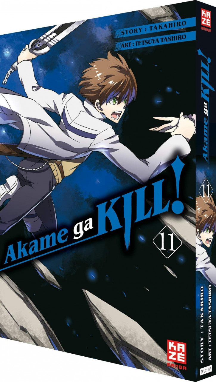 Akame ga KILL! 11